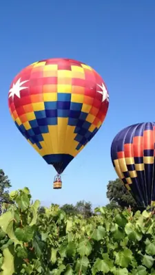 Hot Air Balloon Live Wallpaper android App screenshot 5